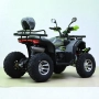 Бензиново АТВ/ATV 250cc/250 кубика RockHunter с лебедка Gray/Green, снимка 3
