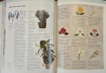 Фън Шуй - голяма илюстрирана енциклопедия /  The Illustrated Encyclopedia of Feng Shui, снимка 12