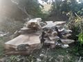 ОРЕХ - дървен материал, снимка 3