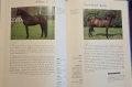 Hamlyn All Colour Guide to Horses, снимка 5