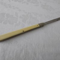 Стар нож за дегустация със слонова кост , снимка 2 - Антикварни и старинни предмети - 45608820
