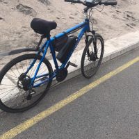 Електрически велосипед, снимка 2 - Велосипеди - 45574938