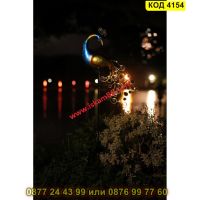 LED Градинска соларна лампа Паун в топла бяла светлина и соларен панел - КОД 4154, снимка 2 - Соларни лампи - 45510406