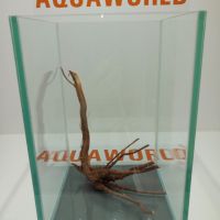 Нано аквариум 12 литра Оборудван и подарък корен, снимка 8 - Аквариуми - 35605170