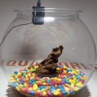 "Безплатна доставка " Нано аквариум 5 литра с LED лампа , снимка 3 - Оборудване за аквариуми - 45505303