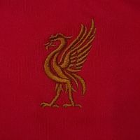 Адидас - Ливърпул - Adidas - Liverpool - season 2008/2010, снимка 12 - Футбол - 45808140