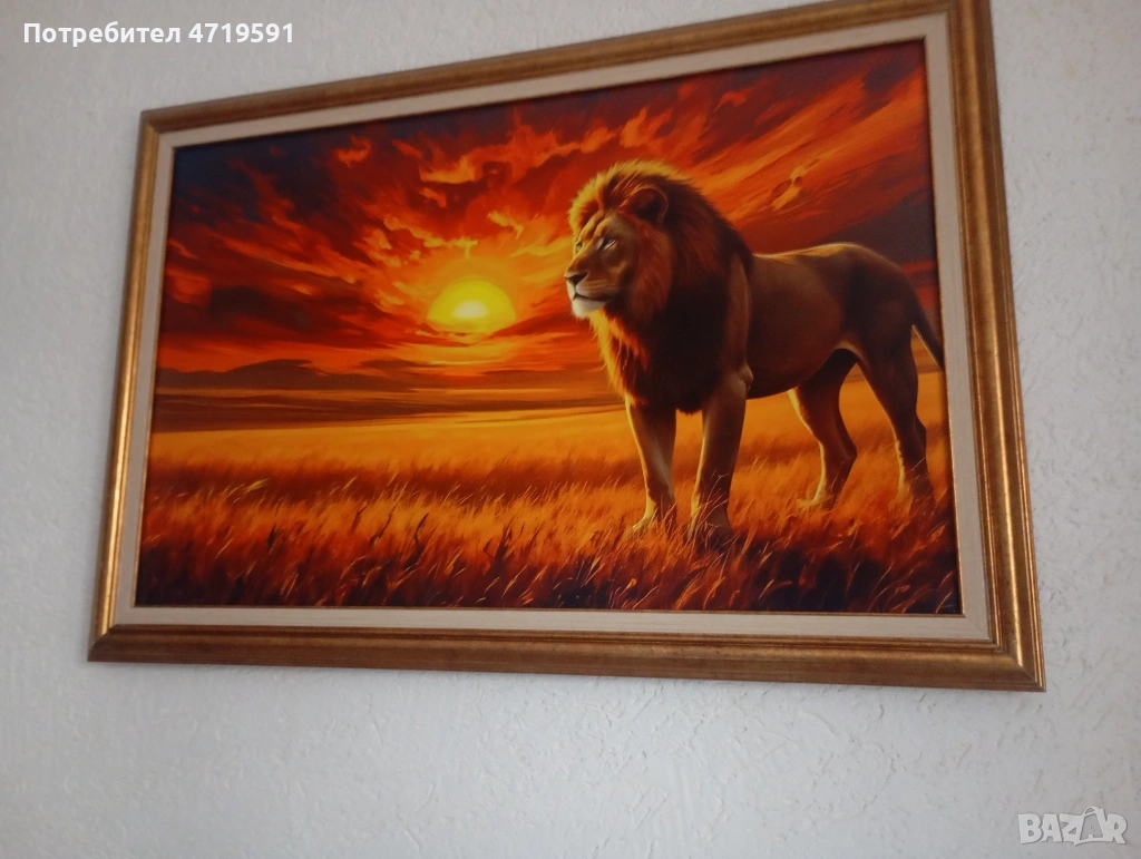 Картини с размер 77/53см, снимка 1