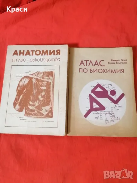 Анатомия  атлас - ръководство, снимка 1