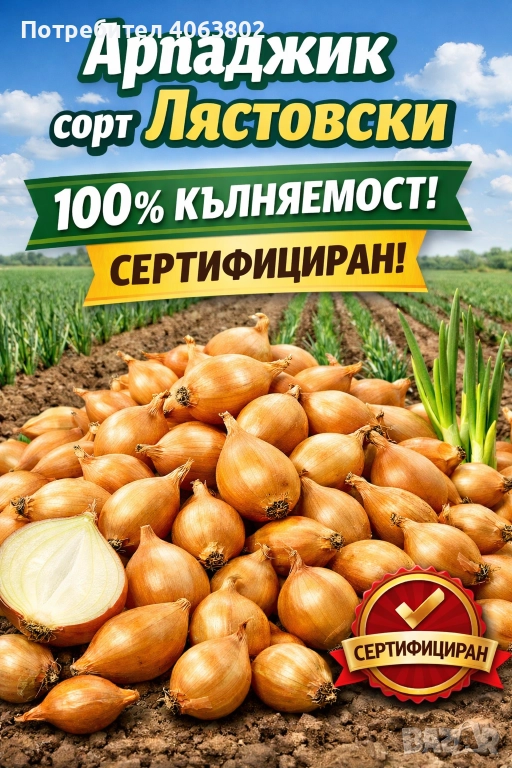 Арпаджик-Лястовски, снимка 1