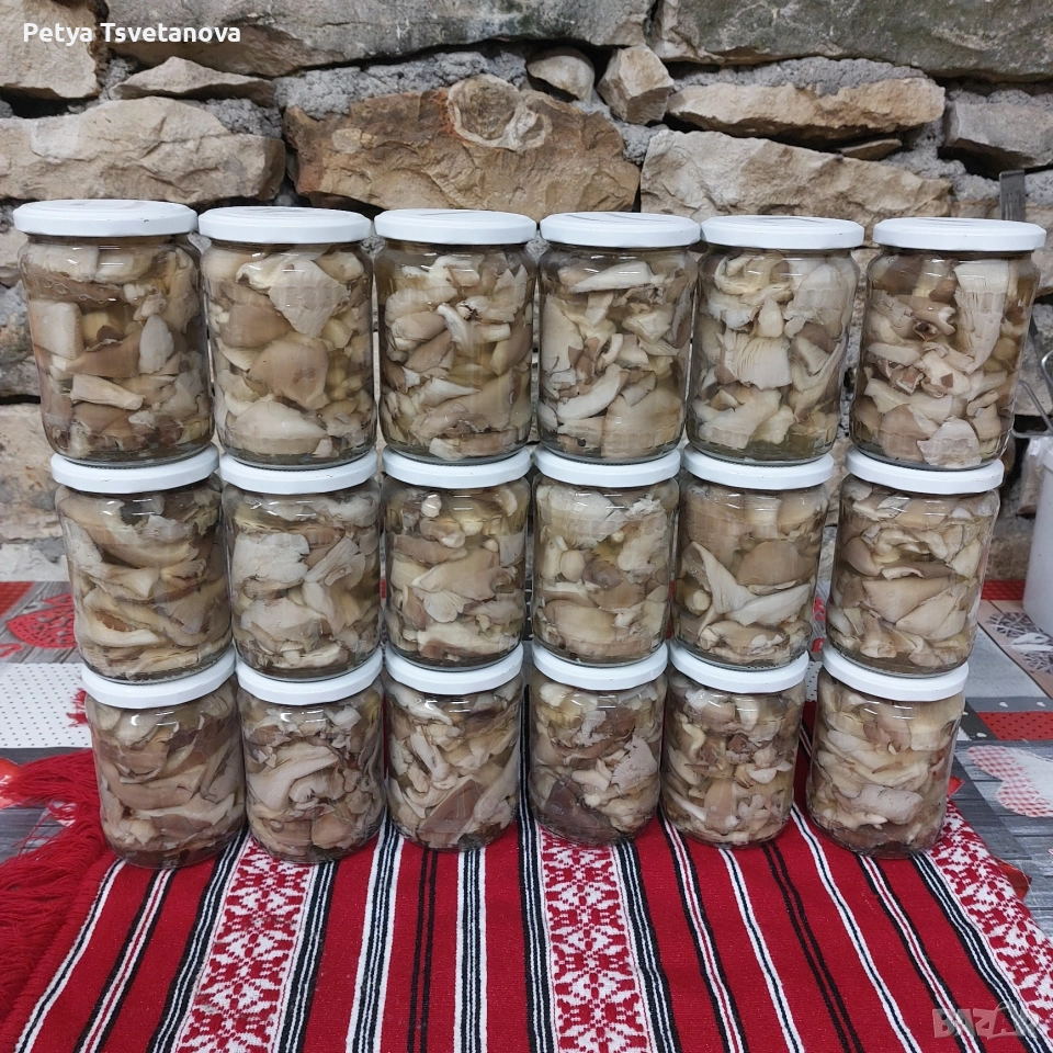 Маринована,бланширана гъба кладница и готови ястия,салати, снимка 1