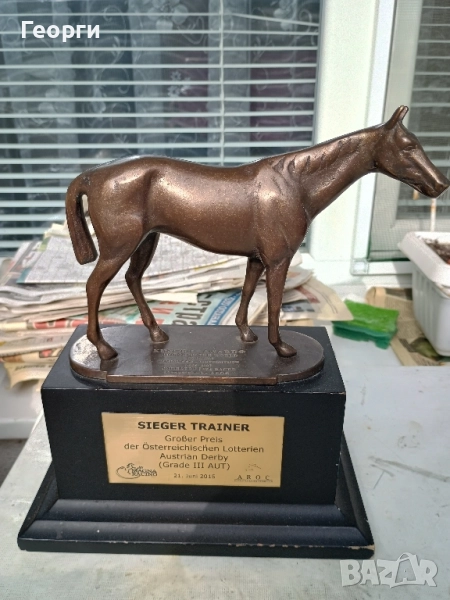 Бронзова награда за конни надбягвания, снимка 1