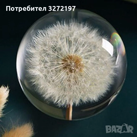 FUFIZU Кристална топка-глухарче, снимка 11 - Декорация за дома - 54090656