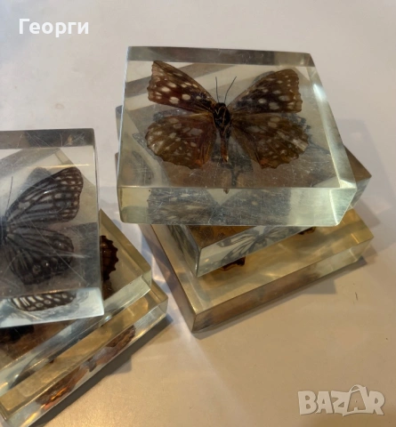 Пеперуди, снимка 12 - Колекции - 53656258