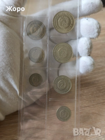 Пълен лот циркулационни монети 1981 година България , снимка 2 - Нумизматика и бонистика - 53407275