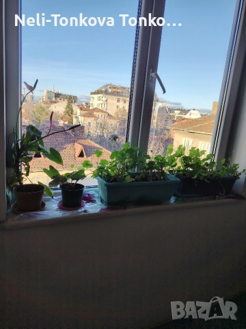 Почистване с Рейнбоу 20%Отстъпка за Декември, снимка 7 - Почистване на домове - 52656219