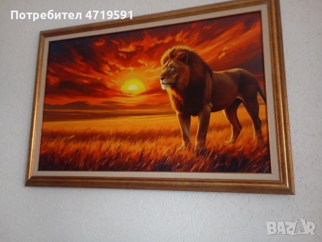 Картини с размер 77/53см