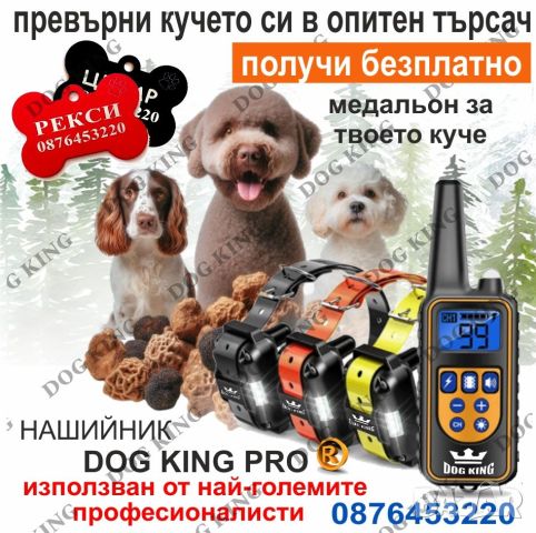 Електронен нашийник за куче, снимка 4 - За кучета - 41388686