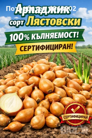 Арпаджик-Лястовски