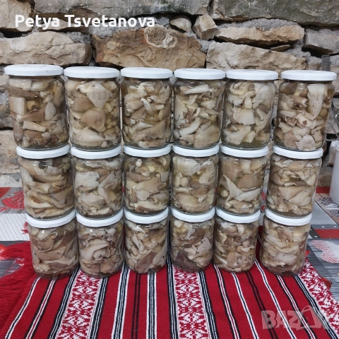 Маринована,бланширана гъба кладница и готови ястия,салати