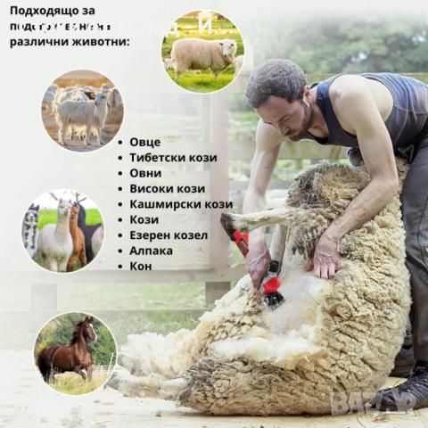 Електрическа машинка за стригане на овце и кози PAT JULIMG – 1000W, 6 скорости, професионални острие