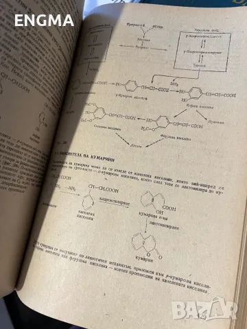 Книга био-Химия, снимка 2 - Учебници, учебни тетрадки - 49197116