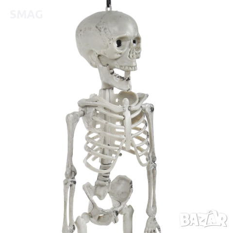 Halloween / Хелоуин реалистичен скелет с подвижна челюст – декорация 40см_1254888, снимка 2 - Декорация за дома - 52008847