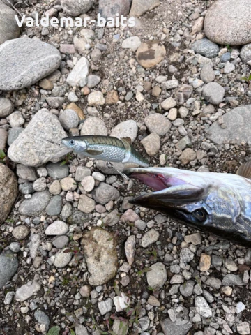 Уклей MINUK-M15 . Воблер от  VALDEMAR-BAITS ръчна изработка, снимка 6 - Такъми - 31437069