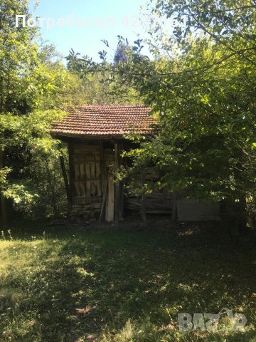 Селска къща, снимка 3 - Къщи - 51512118