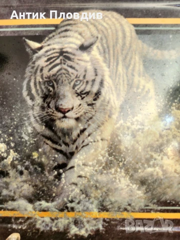 Керамична чиния „White Lightning“ – John Seerey-Lester, The Bradford Exchange (1999), снимка 3 - Декорация за дома - 51338276