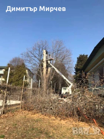 Рязане на високи опасни дървета Косене на тревни площи, снимка 5 - Други услуги - 50980475