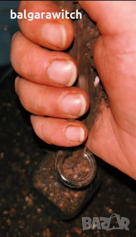 Черна сол за изчистване и защита, снимка 2 - Защити от магии и проклятия - 51786928