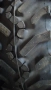 Гуми 420/70R28(14.9R28) , снимка 2