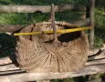 Стари плетени кошници и плетен кош, снимка 4