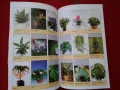 Книги за цветята: "Цветя в градината" Анка Дончева и "400 цветя за дома" , снимка 13