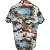 Хавайска риза - M, L, снимка 2 - Ризи - 45201959