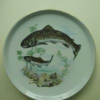 Порцеланови чинии с рисунки на различни риби , снимка 5 - Въдици - 45356450