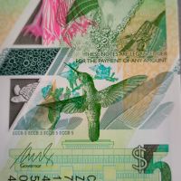 Банкнота - Източни Кариби - 5 долара UNC | 2021г., снимка 3 - Нумизматика и бонистика - 45232271