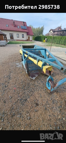 Картофовадачка двуредова, снимка 1