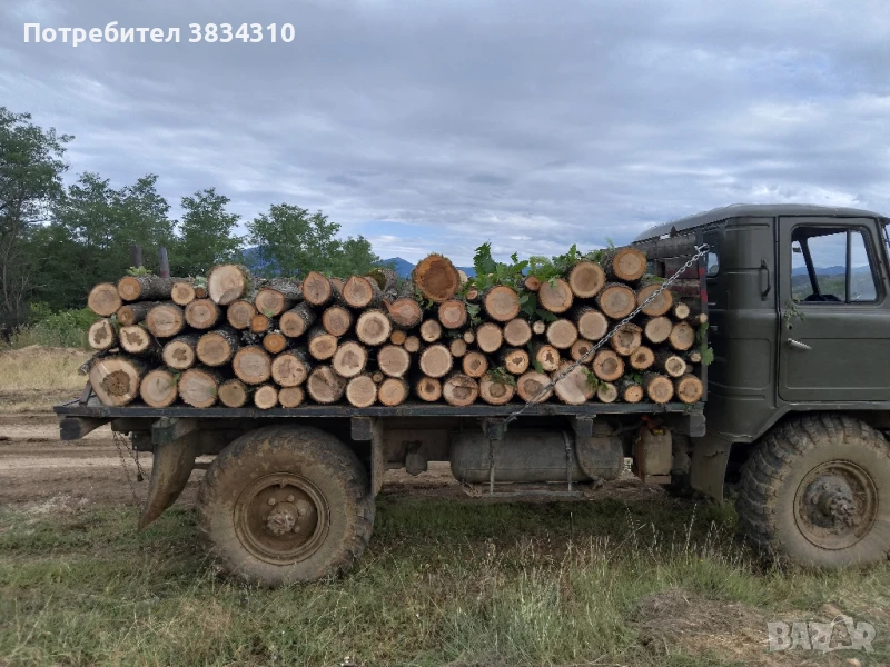 Дърва за огрев, снимка 1