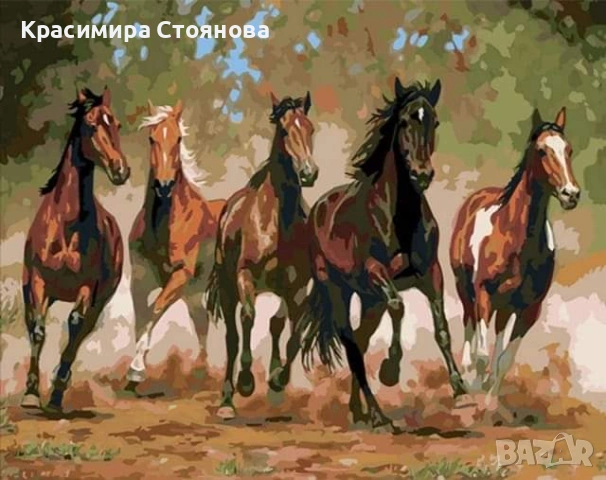  Картини за рисуване по номера , снимка 17 - Други игри - 52484089