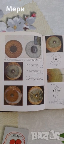 Иридодиагностика, снимка 5 - Други - 53768504