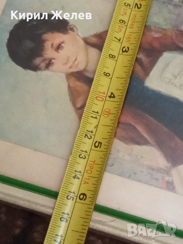 Стара картина в рамка 46883, снимка 6 - Картини - 52506797