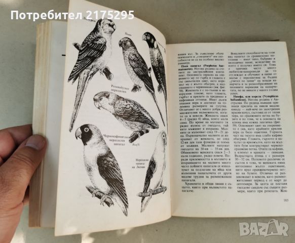 Домашна зоология-изд. 1983г., снимка 17 - Други стоки за животни - 46627125