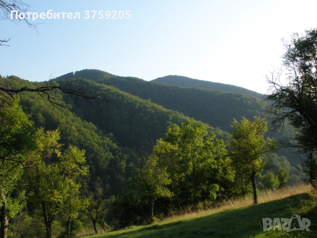 Продавам парцел в с.Рибариба, снимка 4 - Парцели - 52266031