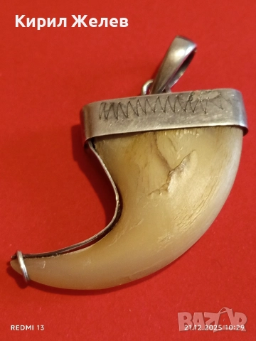 Сребърен медальон с тигров нокът с Индийски дизайн и сребърен обков 51789, снимка 10 - Колиета, медальони, синджири - 52863699