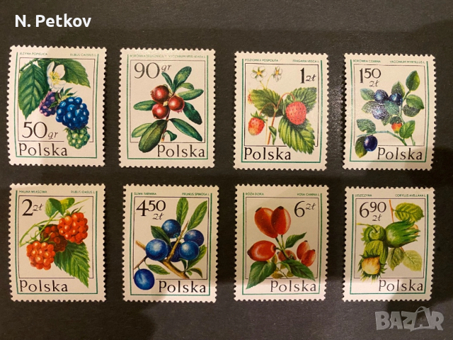 Полша, Горски плодове