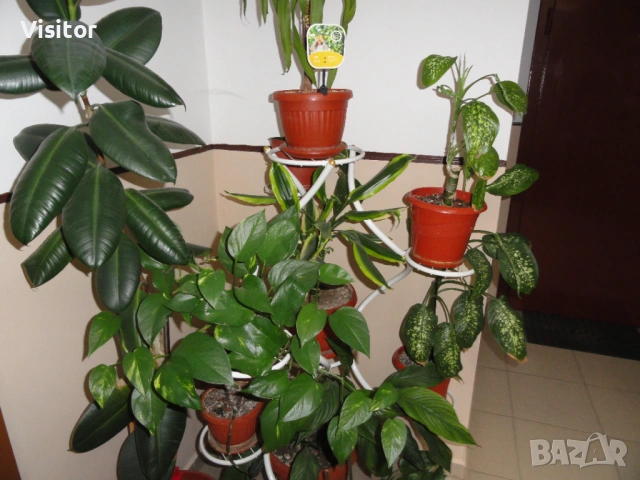 Sony Cyber-shot DSC-H55  - 14.1 MPx, снимка 15 - Фотоапарати - 54117639