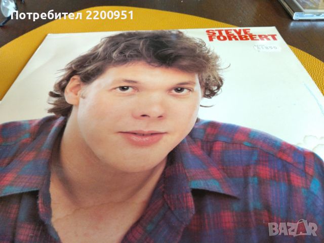 STEVE FORBERT, снимка 1 - Грамофонни плочи - 46116203