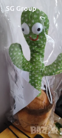 Пеещ и танцуващ кактус- катерица, снимка 4 - Други - 51418250
