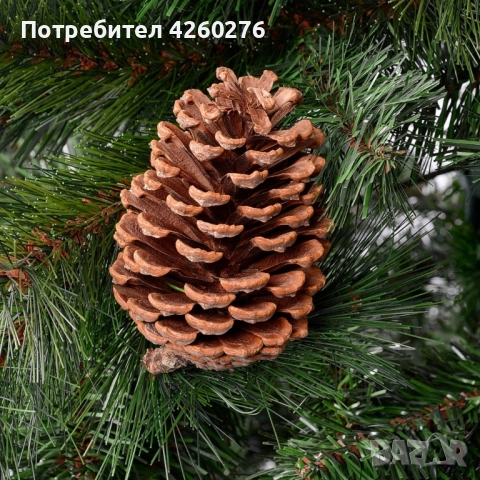 Елха естествено зелена с шишарки, снимка 3 - Други стоки за дома - 52159877